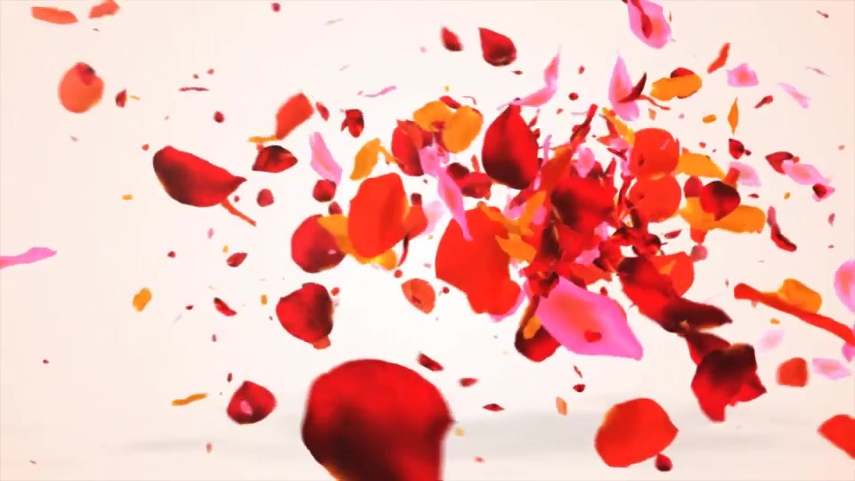 Colors Petals Logo Videohive 19779838 After Effects Image 9
