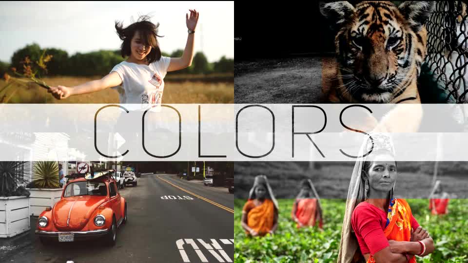 COLORS Photo/Video Gallery Videohive 10437326 After Effects Image 1