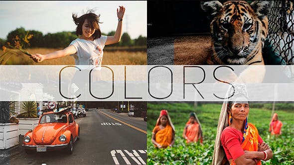 COLORS Photo/Video Gallery - Download 10437326 Videohive