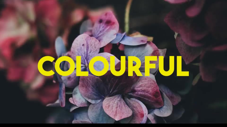 Colourful Summer Slideshow - Download Videohive 16131348