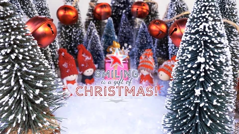 Community Christmas Greetings Videohive 22701411 After Effects Image 2