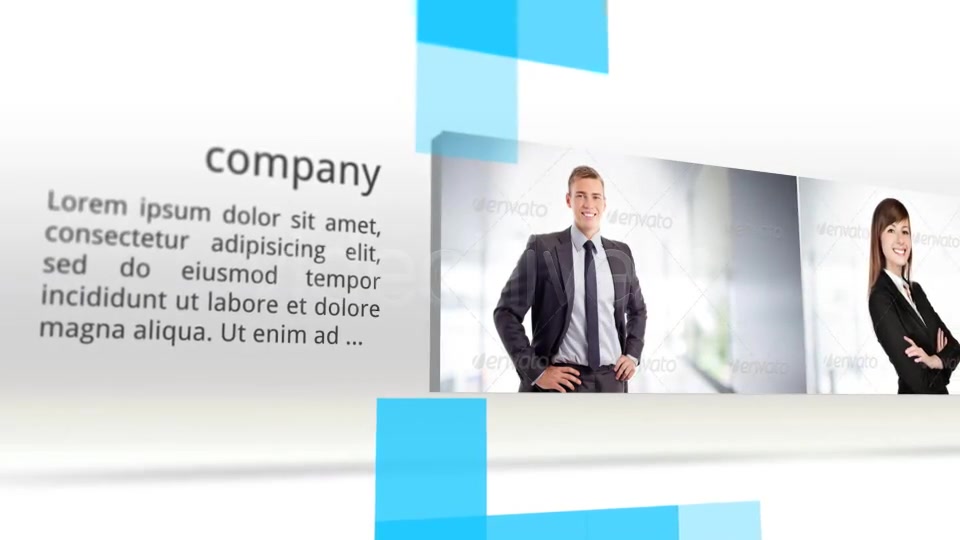 Company in Brief - Download Videohive 6265239