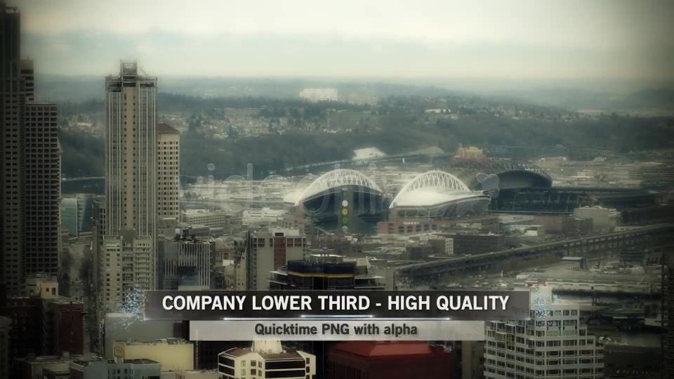 Company Lower Third Videohive 96688 Motion Graphics Image 6