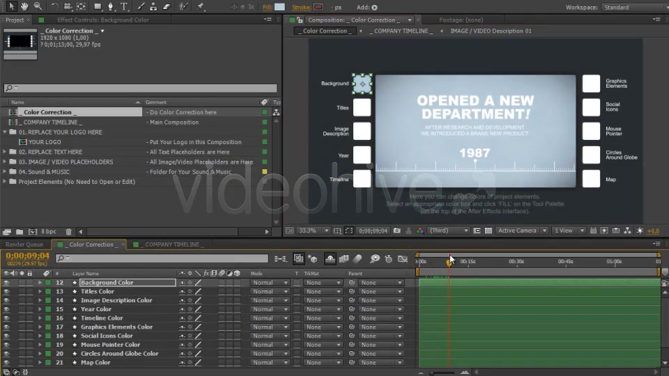 Company Timeline - Download Videohive 2774691