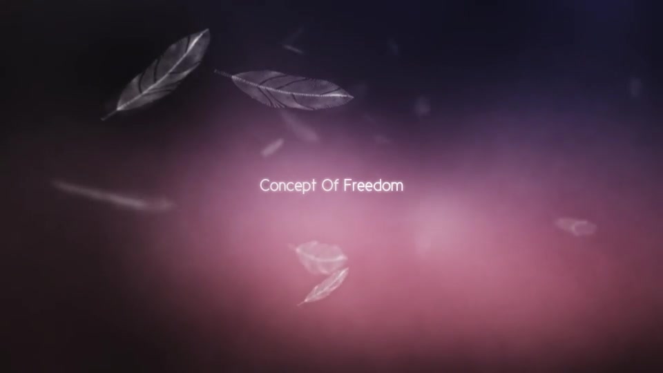 Concept of Freedom - Download Videohive 8067022