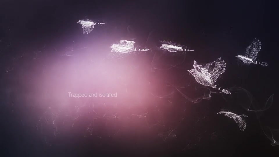 Concept of Freedom - Download Videohive 8067022