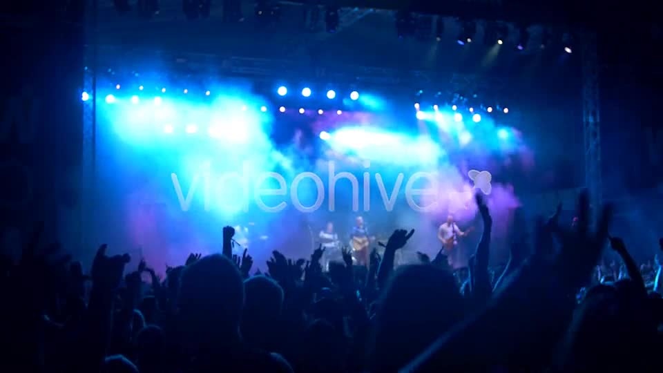 Concert Crowd  Videohive 8502107 Stock Footage Image 1