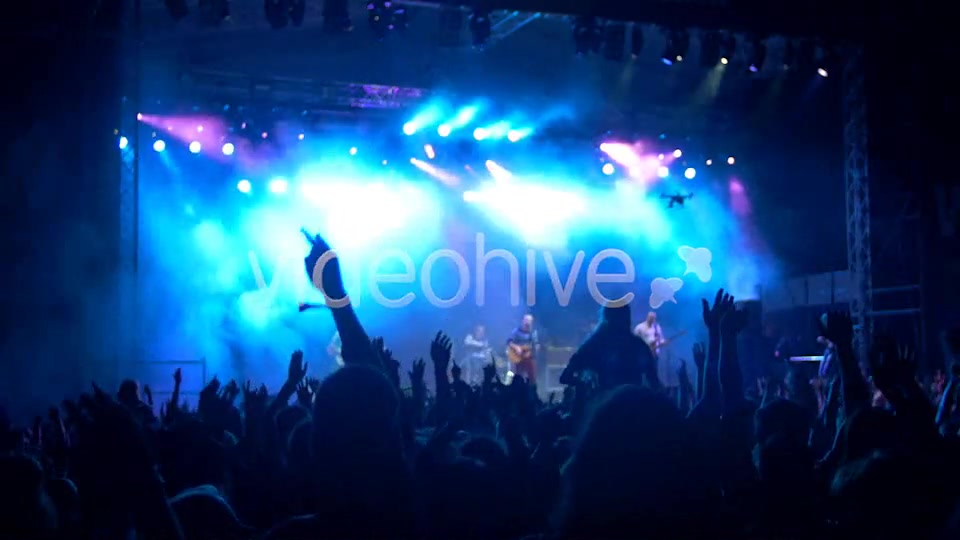 Concert Crowd  Videohive 8502107 Stock Footage Image 10