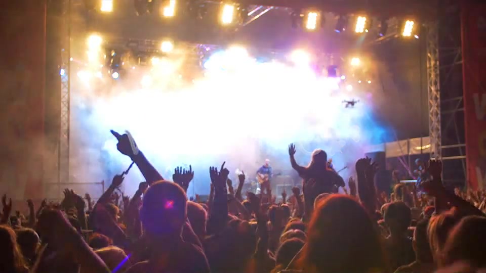 Concert Crowd  Videohive 8502107 Stock Footage Image 11