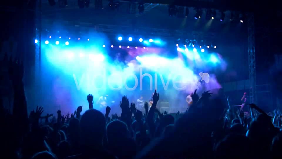 Concert Crowd  Videohive 8502107 Stock Footage Image 2