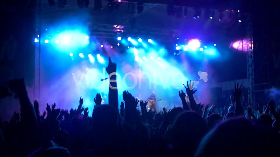 Concert Crowd  Videohive 8502107 Stock Footage Image 5