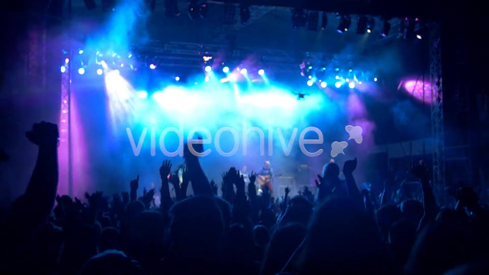 Concert Crowd  Videohive 8502107 Stock Footage Image 7