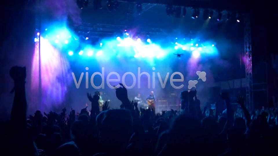 Concert Crowd  Videohive 8502107 Stock Footage Image 8