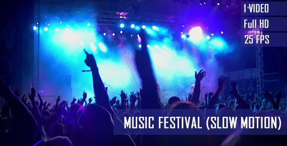 Concert Crowd  - 8502107 Videohive Download