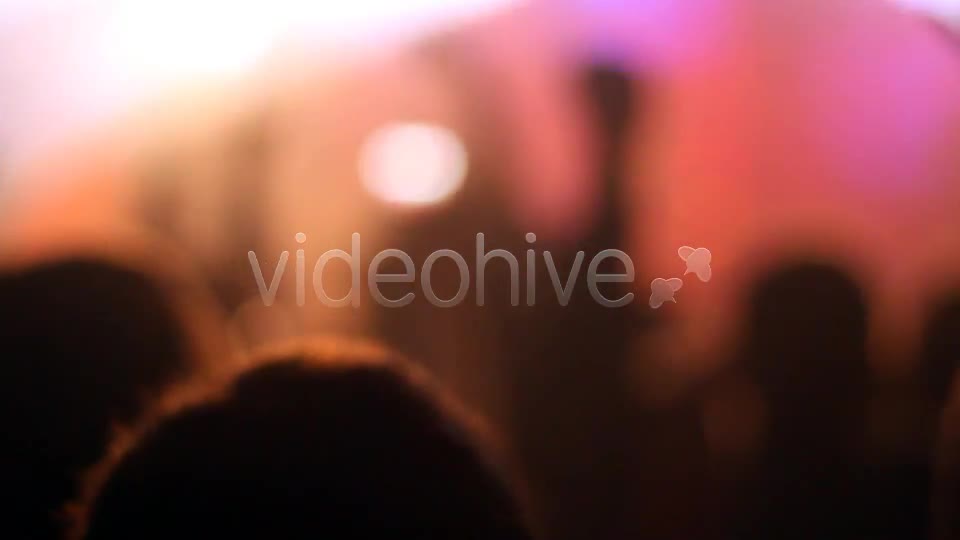 Concert Crowd  Videohive 4527714 Stock Footage Image 1