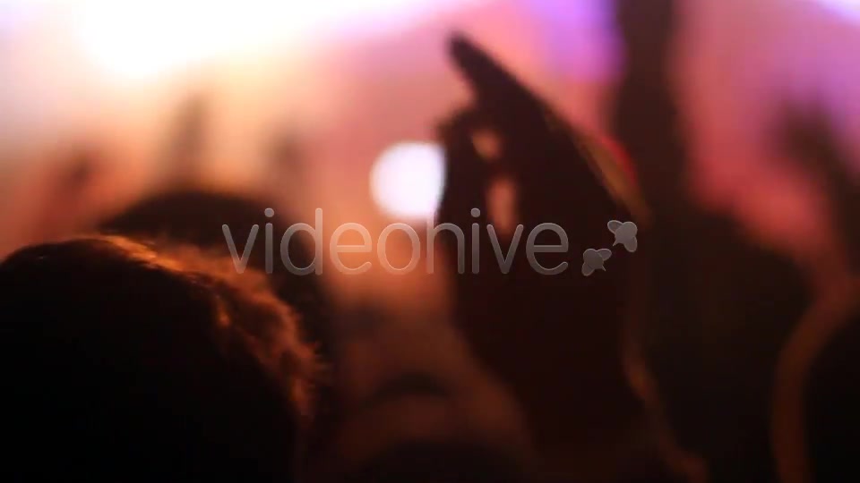 Concert Crowd  Videohive 4527714 Stock Footage Image 2