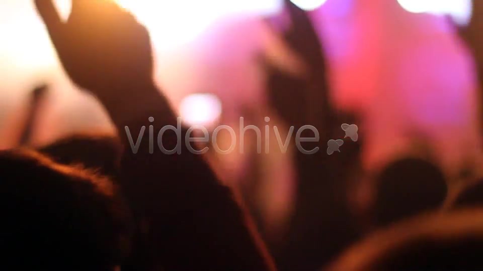 Concert Crowd  Videohive 4527714 Stock Footage Image 4