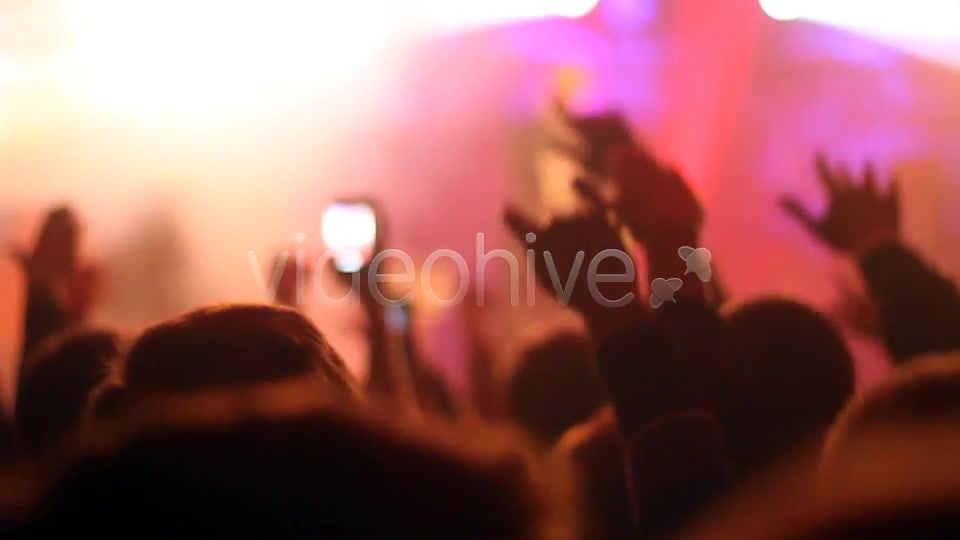 Concert Crowd  Videohive 4527714 Stock Footage Image 5