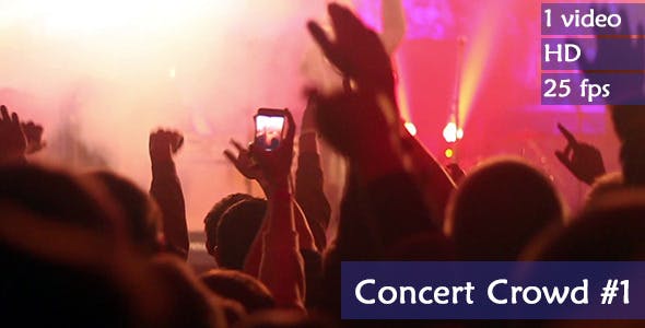Concert Crowd  - Download 4527714 Videohive