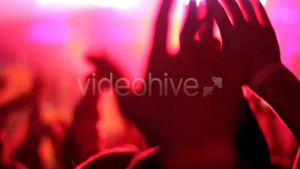 Concert Crowd  Videohive 4527717 Stock Footage Image 1