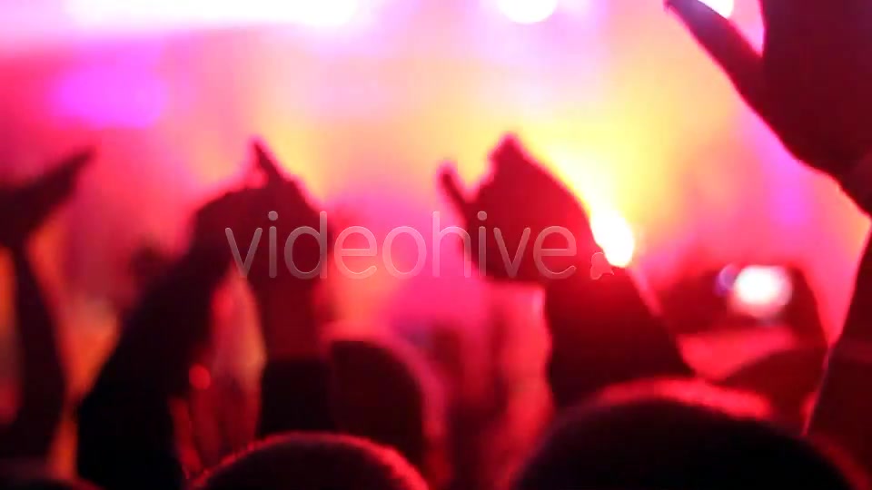 Concert Crowd  Videohive 4527717 Stock Footage Image 3