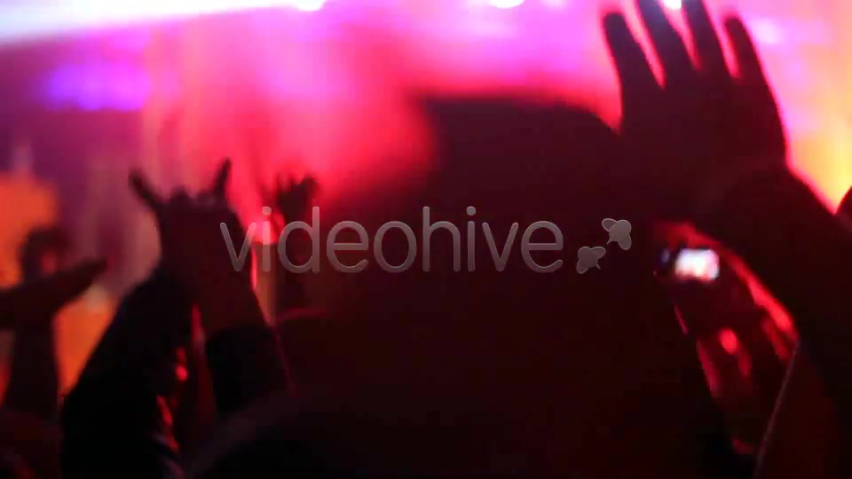 Concert Crowd  Videohive 4527717 Stock Footage Image 4