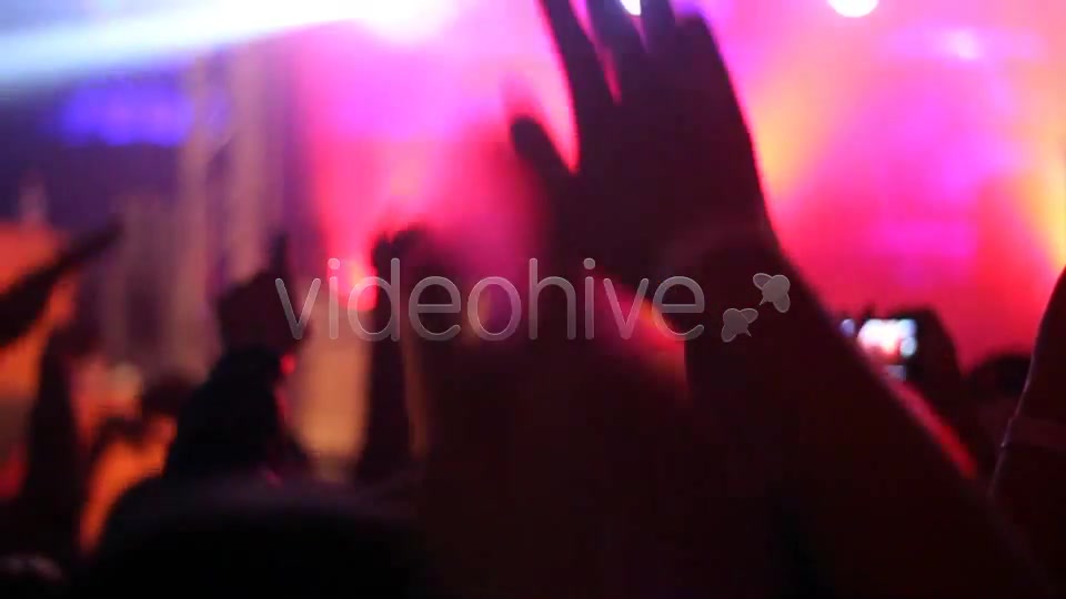 Concert Crowd  Videohive 4527717 Stock Footage Image 5