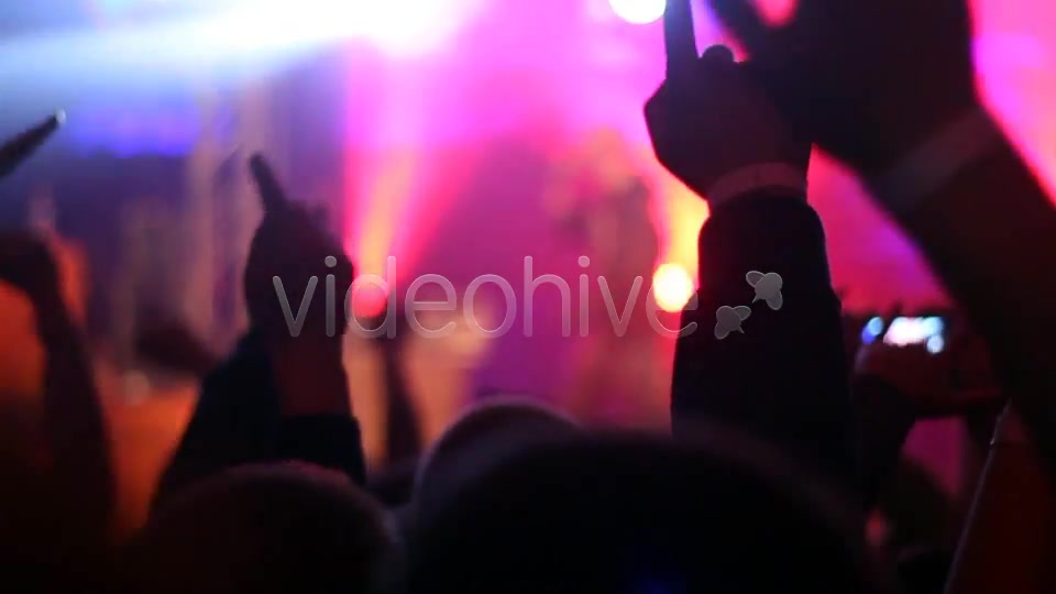 Concert Crowd  Videohive 4527717 Stock Footage Image 6