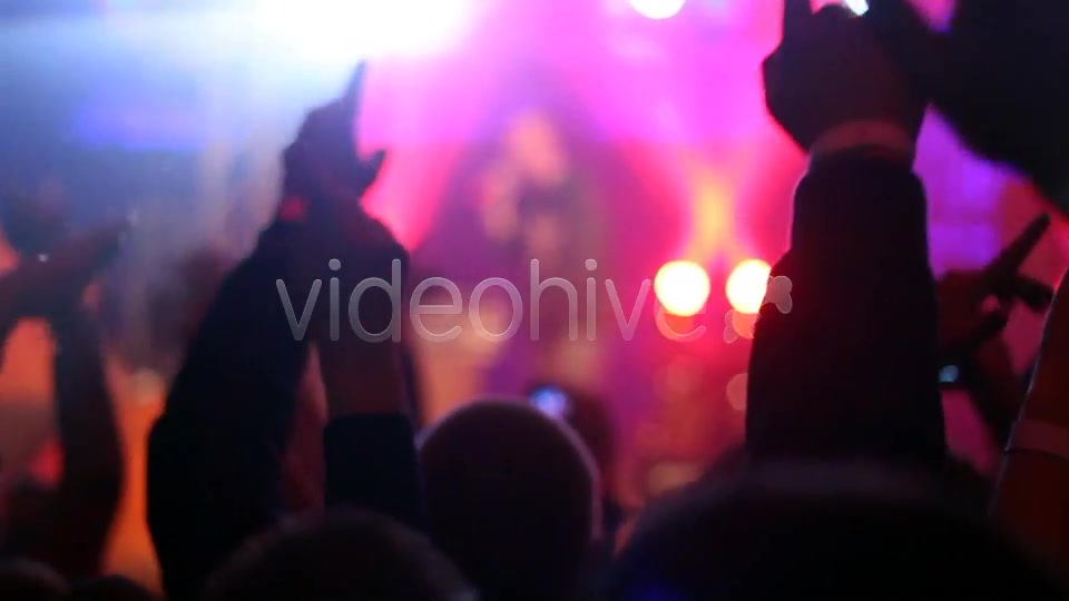 Concert Crowd  Videohive 4527717 Stock Footage Image 7