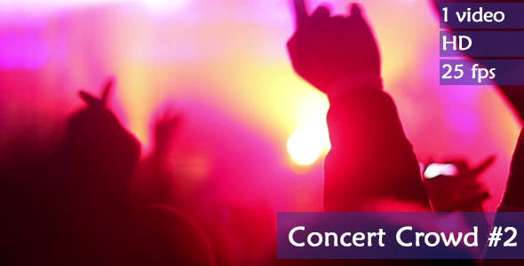 Concert Crowd  - Download 4527717 Videohive