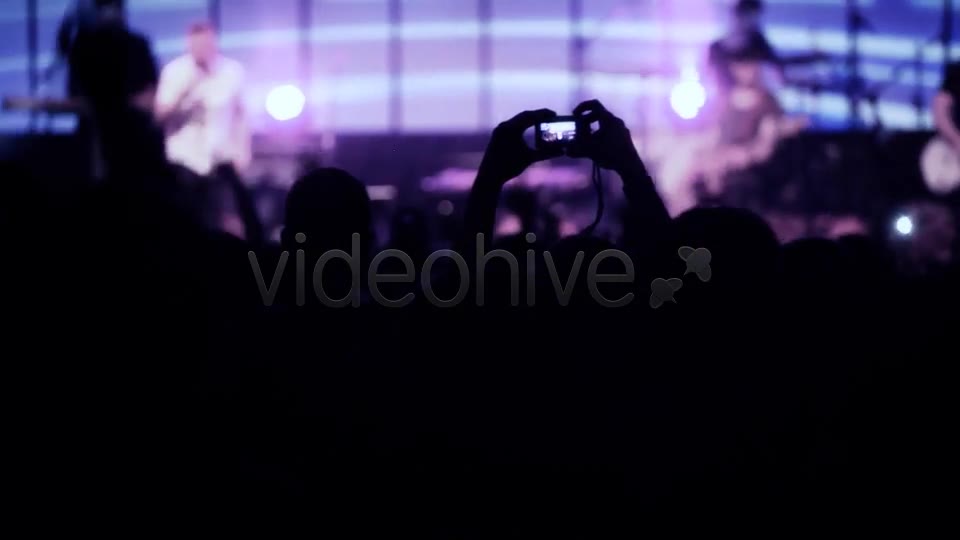 Concert Crowd  Videohive 6642544 Stock Footage Image 2