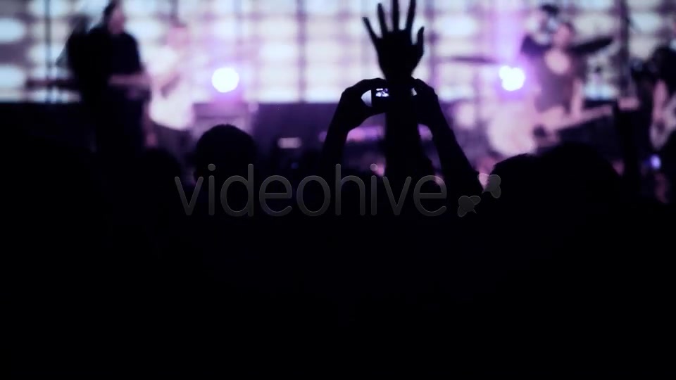 Concert Crowd  Videohive 6642544 Stock Footage Image 4