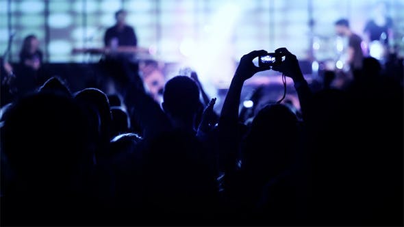 Concert Crowd  - Download 6642544 Videohive