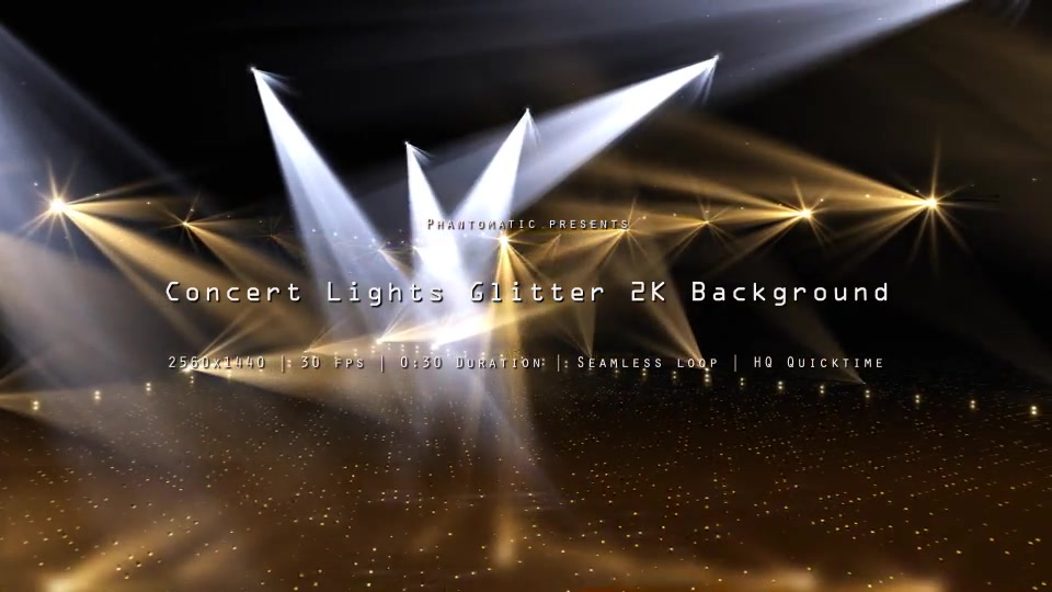 Concert Lights Glitter 8 - Download Videohive 13636092