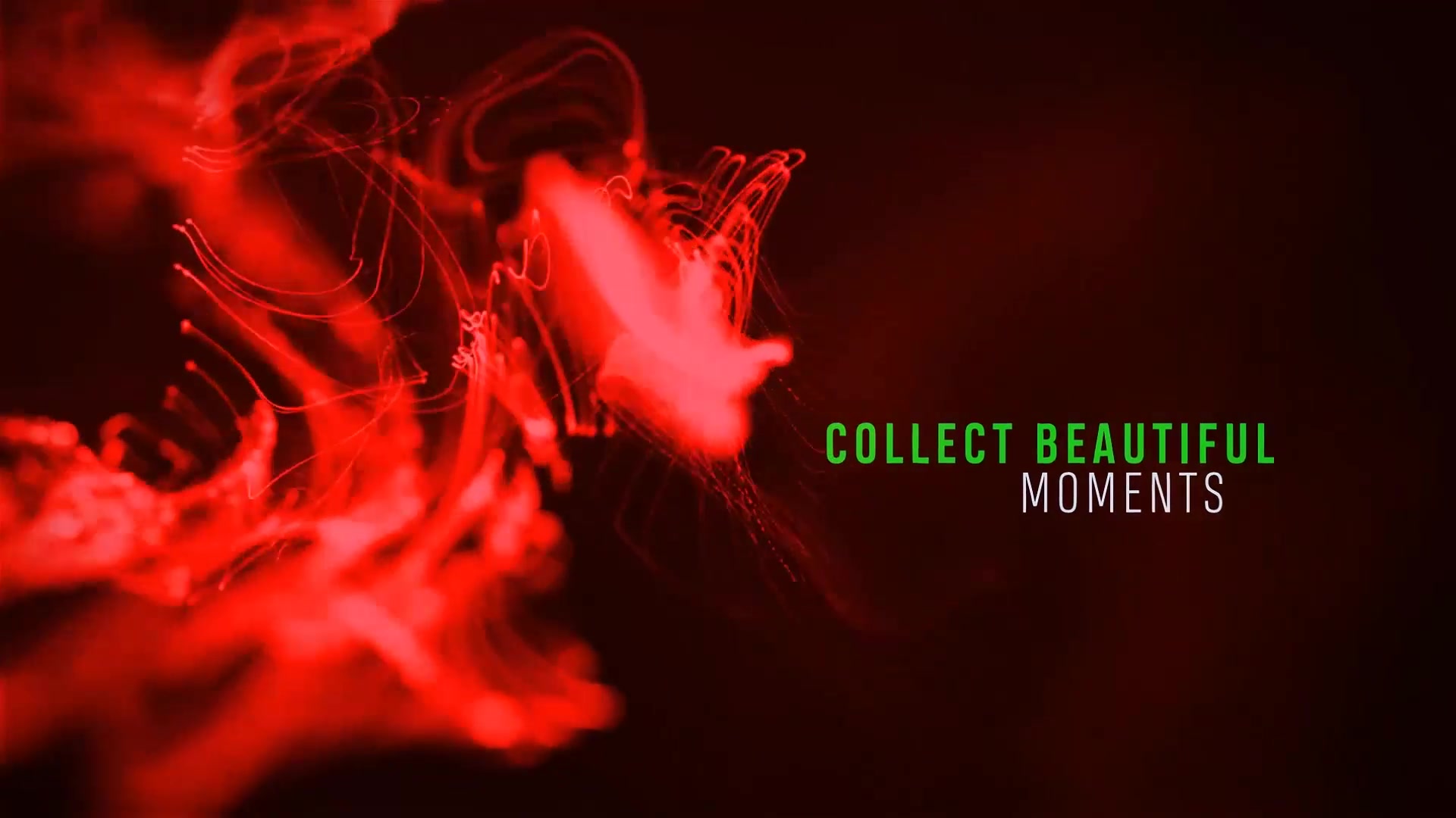 Confusion | Title Sequence Videohive 28508860 After Effects Image 4