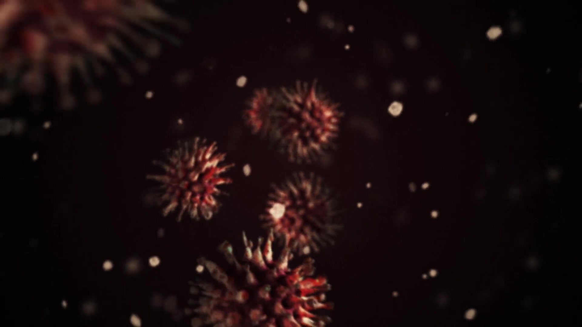 Coronavirus Logo Reveal Videohive 26118765 After Effects Image 2