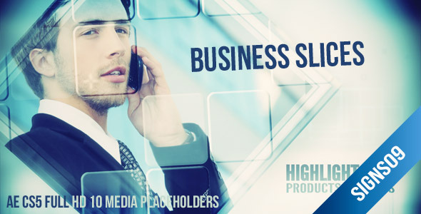 Corporate Business Slides - Download Videohive 3595433