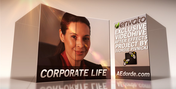 Corporate Life - Download Videohive 2531063