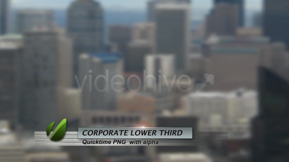 Corporate Lower Third Videohive 94347 Motion Graphics Image 6