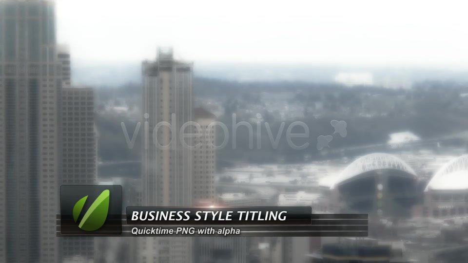 Corporate Lower Thirds Black Pack Videohive 145590 Motion Graphics Image 5