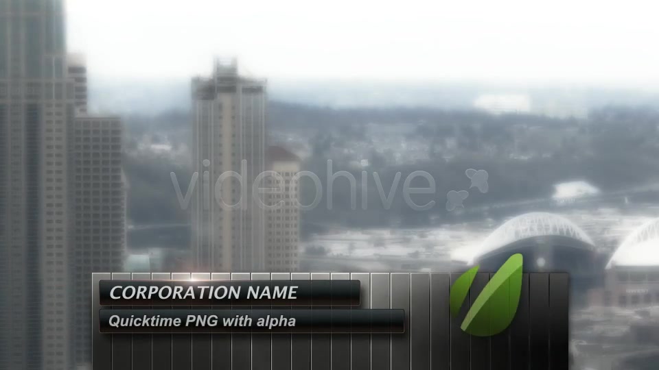 Corporate Lower Thirds Black Pack Videohive 145590 Motion Graphics Image 7