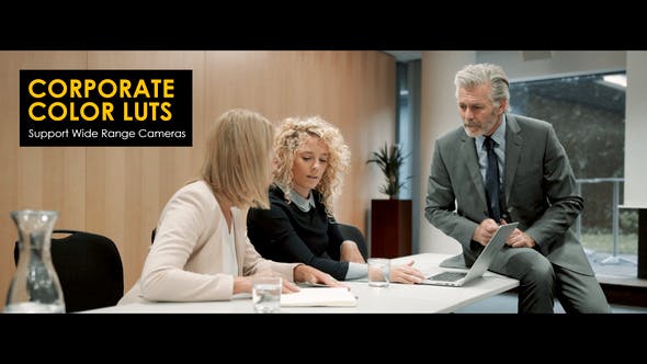 Corporate LUTs - 39956273 Videohive Download