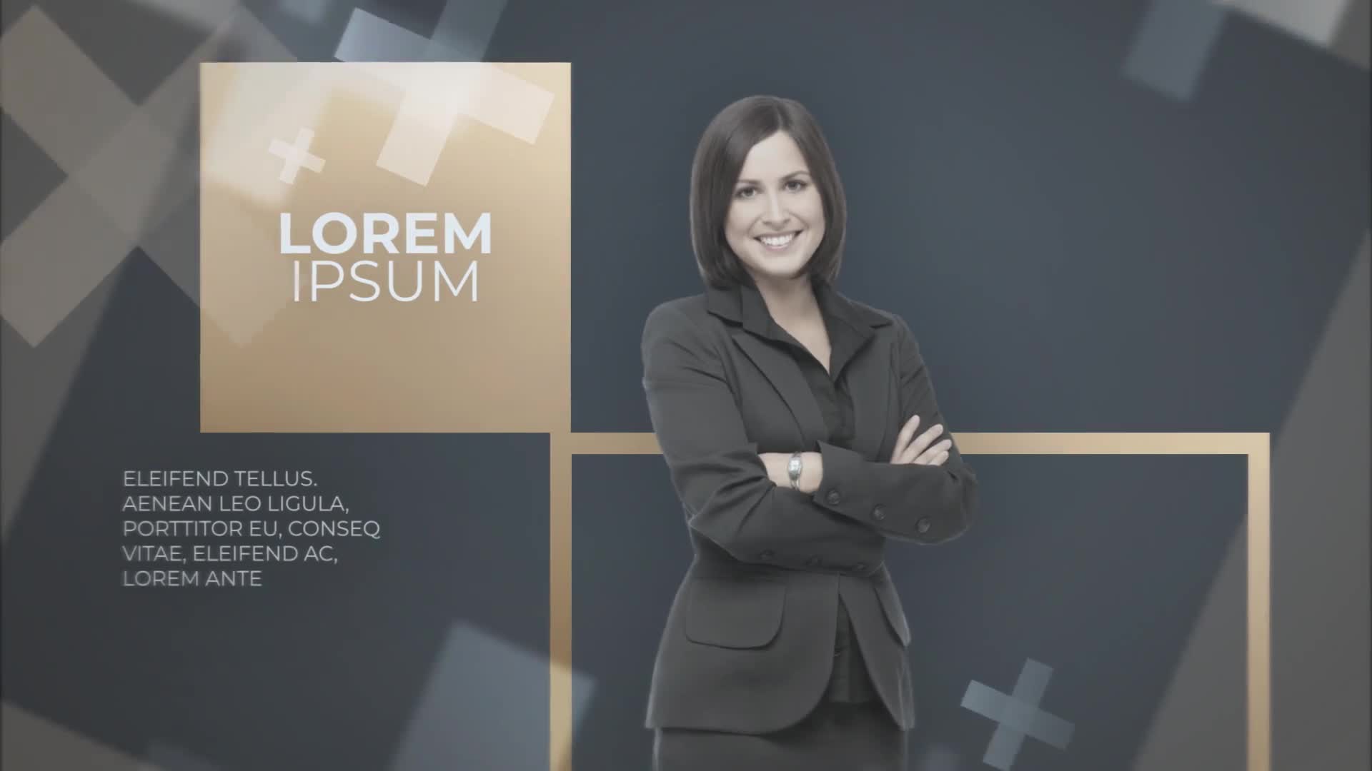 Corporate Presentation Business Promo Videohive 23347079 After Effects Image 1