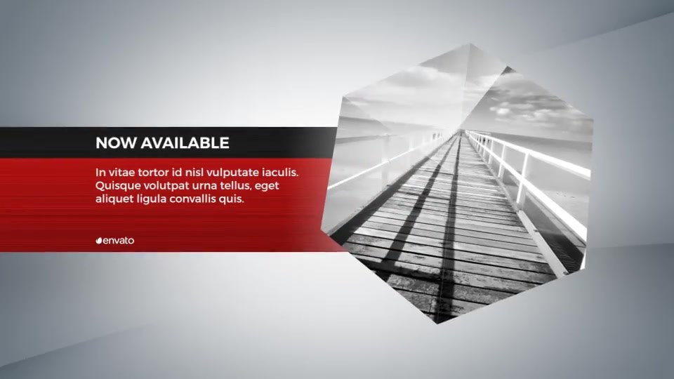 Corporate Profile Video - Download Videohive 14220490