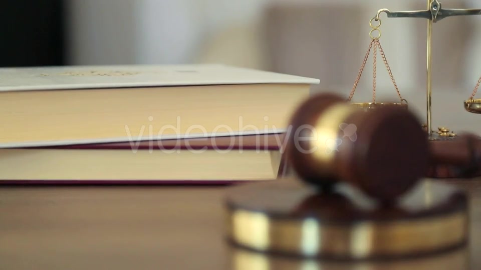 Court of Justice  Videohive 15972207 Stock Footage Image 5