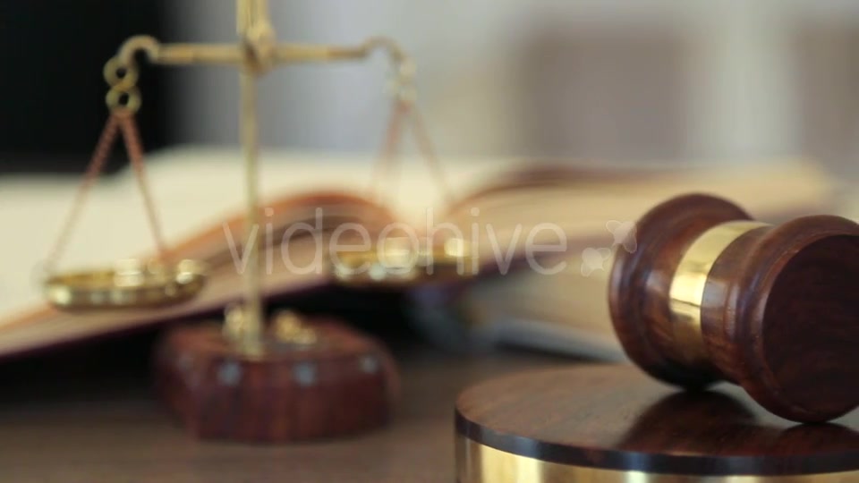 Court of Justice  Videohive 15972207 Stock Footage Image 7