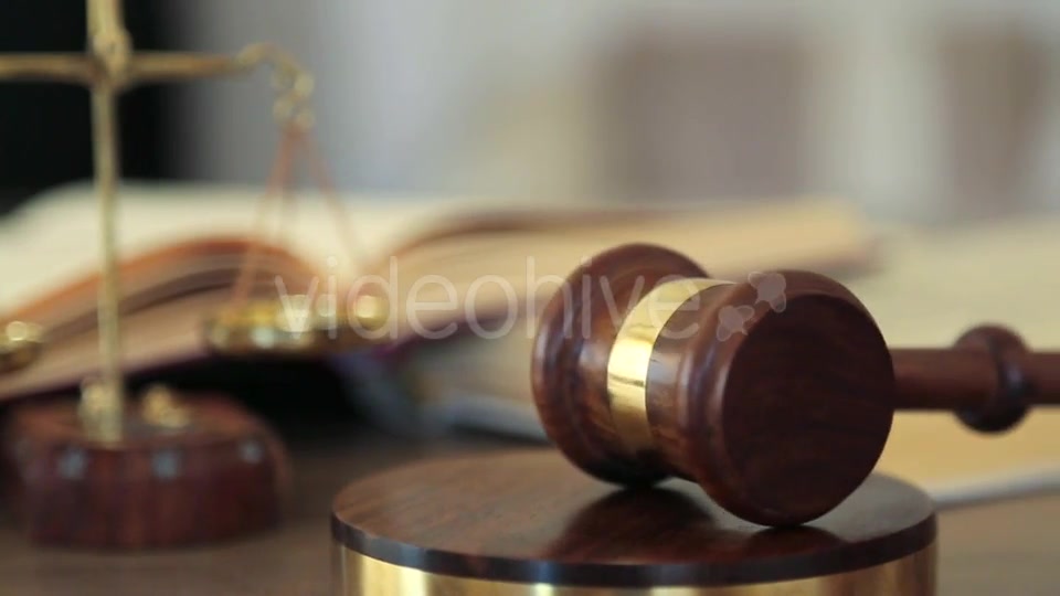 Court of Justice  Videohive 15972207 Stock Footage Image 8