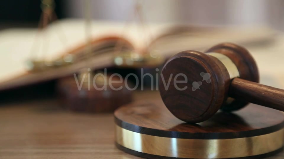 Court of Justice  Videohive 15972207 Stock Footage Image 9