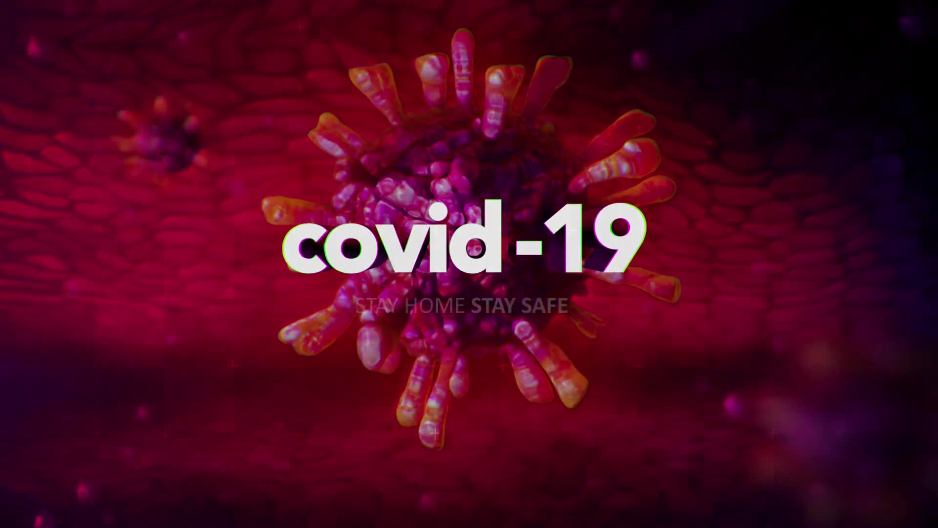 Covid 19 Logo Videohive 26389351 After Effects Image 10