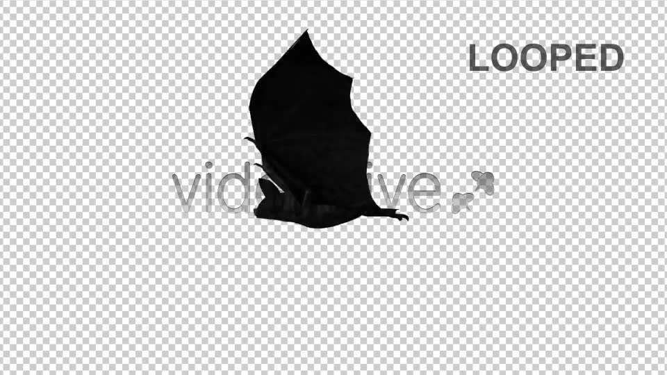 Creepy Bats Transitions Videohive 2907913 Motion Graphics Image 10